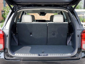 20233.5L ԄCalligraphy g