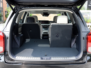 20233.5L ԄCalligraphy g