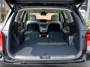 20233.5L ԄCalligraphy g