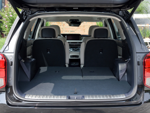 20233.5L ԄCalligraphy g