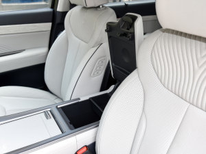 20233.5L ԄCalligraphy g