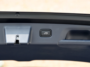 20233.5L ԄCalligraphy g