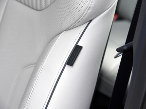 20233.5L ԄCalligraphy g