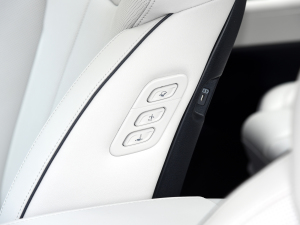 20233.5L ԄCalligraphy g