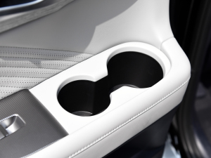 20233.5L ԄCalligraphy g