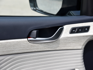 20233.5L ԄCalligraphy п؅^