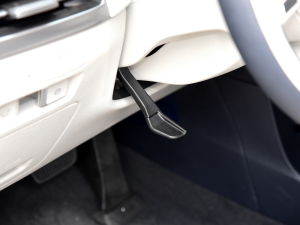 20233.5L ԄCalligraphy п؅^