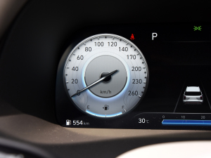 20233.5L Ԅ(q)Calligraphy п؅^(q)