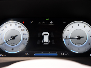 20233.5L Ԅ(q)Calligraphy п؅^(q)