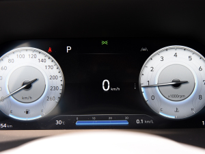 20233.5L Ԅ(q)Calligraphy п؅^(q)