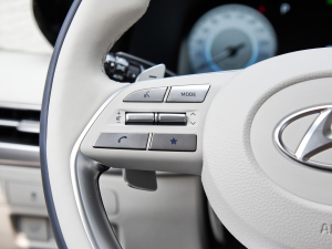 20233.5L Ԅ(q)Calligraphy п؅^(q)