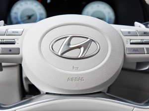 20233.5L Ԅ(q)Calligraphy п؅^(q)