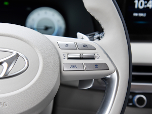 20233.5L Ԅ(q)Calligraphy п؅^(q)