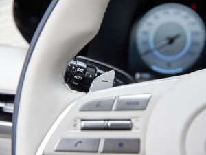 20233.5L Ԅ(q)Calligraphy п؅^(q)