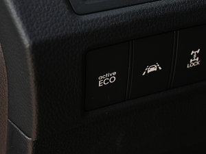 20133.0L ԄŞ 7 WIV g