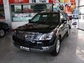 2008���������45��
