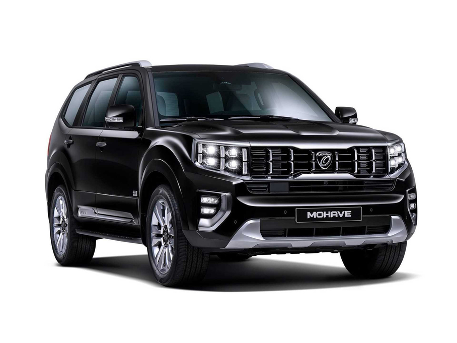 2019����J ������