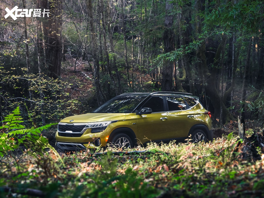 2020��Seltos ������