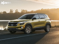 ���w���^Seltos���w���^