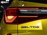 ���^����Seltos���^����