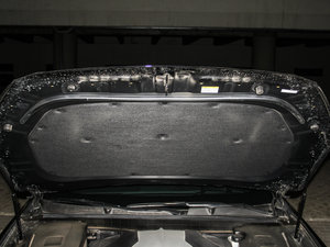 2015款3.8L 自动尊贵版 其它