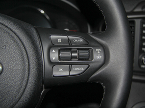 起亞(進口)2015款索蘭托