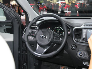 2015L 2.2T (q)(bio)(zhn) 5 IV п؅^(q)