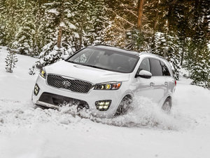 2015L 2.2T (q)(bio)(zhn) 5 IV w^