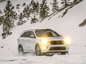 2015L 2.2T (q)(bio)(zhn) 5 IV w^