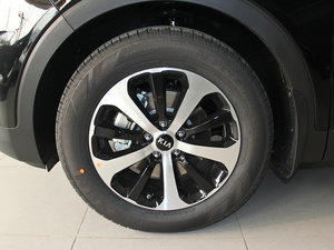 2015L 2.0T GDI F 5 IV ^