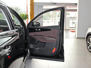 2015L 2.0T GDI F 5 IV g