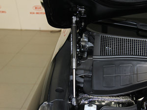 2015L 2.0T GDI F 5 IV 