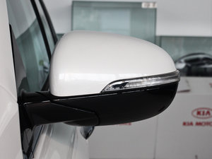 2015款L 2.4L GDI 汽油四驱运动版 5座 国IV 后视镜