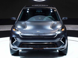 2018Niro EV w^