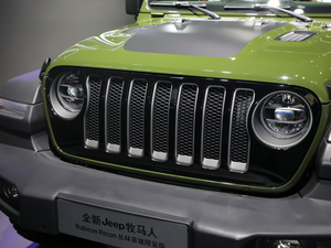 20202.0T Rubicon Recon TӢ  ^