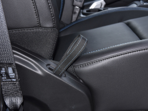 2021T 2.0T 4xe _eh g