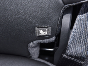 2021T 2.0T 4xe _eh g