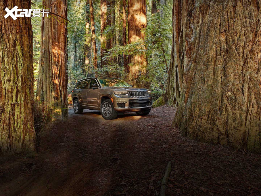 2021������Z��(�M��) L ������