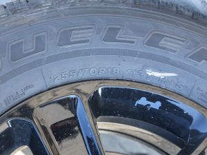 20222.0T ߵذ˹ӘOG؄e ݆̥ߴ