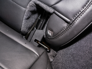 20222.0T ߵذ͹Rɳ؄e g