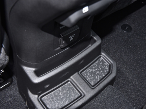 2022T(mn) 2.0T 4xe  ΞS g