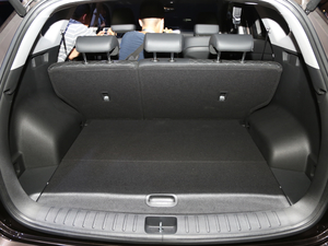 2019280TGDi px(q) V g