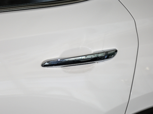 2019280TGDi pxσrа V ^