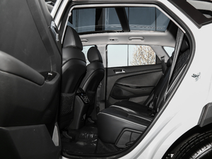 2019280TGDi pxσrа V ſg