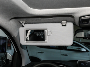 2019280TGDi pxσrа V g