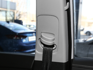 2019280TGDi pxσrа V g