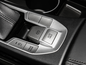 2019280TGDi pxσrа V v܇Ƅ