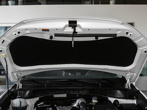 2019280TGDi pxσ(q)r(sh)а V 