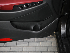 2019280TGDi px(q) V ǰTg