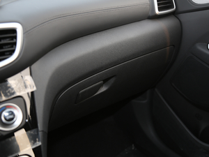 2019280TGDi pxσ(q)(lin) (gu)V g